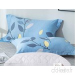 KLGG Cotton Pillowcase and Pillow Set Double Student Cotton Pillow Protection Cervical Pillow Light Blue - B07VPK43L2